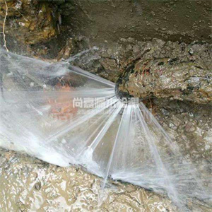 通海口镇消防管道漏水检测